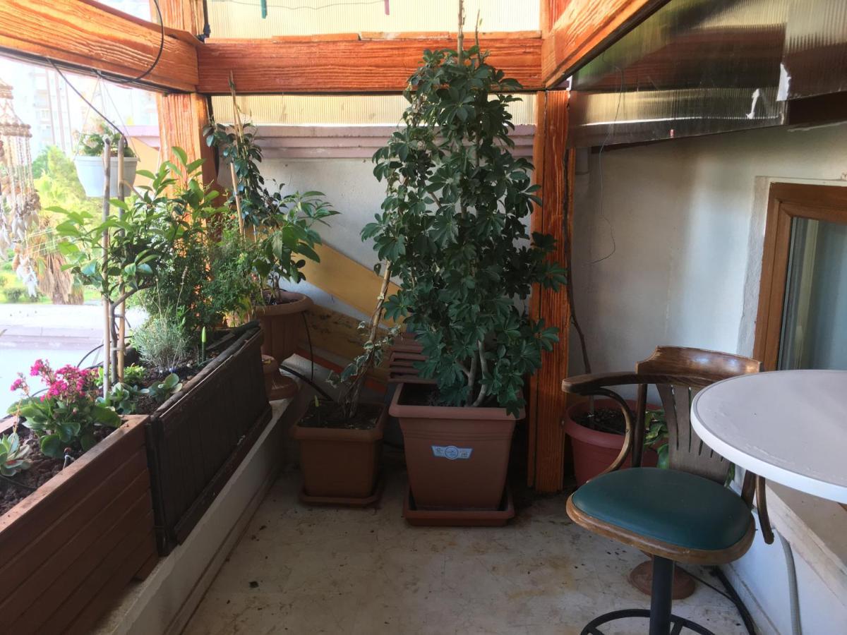 Orange Garden Apartment Анталия Екстериор снимка