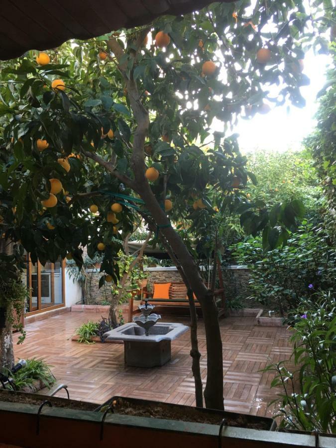 Orange Garden Apartment Анталия Екстериор снимка